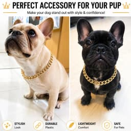 ABS Plastic Dog Collar Chain Diamond Inlay Sparkle Bulldog Necklace Cat Collars Pet Accessories Small Medium Large Dogs Golden