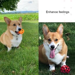 Rubber Dog Ball Toy with Bell Interactive Squeaky Hollow Ball Bite Resistant Teeth Cleaning Chew Toy for Small Medium Large Dogs