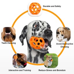 Rubber Dog Ball Toy with Bell Interactive Squeaky Hollow Ball Bite Resistant Teeth Cleaning Chew Toy for Small Medium Large Dogs