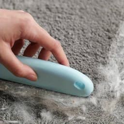 1Pc Pet Hair Remover Brush, Rubber Bristle, Ergonomic Handle, Safe for Dogs & Cats, Clean Couch, Carpet, Car Seat, Easy to Wash