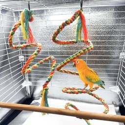 Bird Toys Parrot Climbing Rope Parrot Colorful Toy Climbing Rope Rotating Climbing Rope Bird Relax Play Grinding Toy Rope