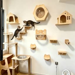 Wall Mounted Cat Climbing Shelf Wooden Hammock Bed Steps Perch Scratching Post Indoor Cat Furniture For Kitten Playing Sleeping