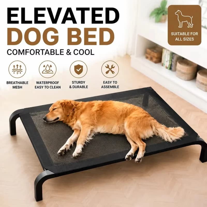 New Elevated Dog Bed Raised Breathable Moisture Proof All Seasons Soft Ventilated Pet Sleeping Cot For Large And Small Dogs