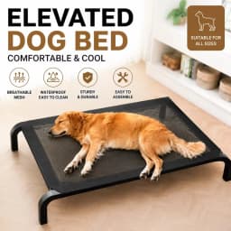 New Elevated Dog Bed Raised Breathable Moisture Proof All Seasons Soft Ventilated Pet Sleeping Cot For Large And Small Dogs