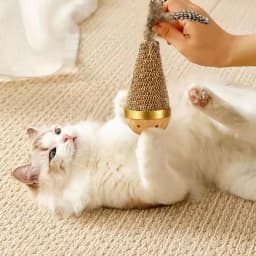 Self Playing Cat Toy Interactive Tumbler with Feather Teaser Wand Scratch Resistant Kitten Toys for Indoor Cats Boredom Relief