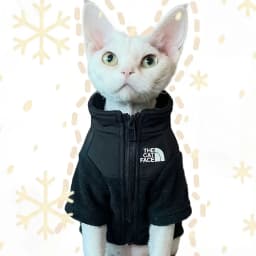 The Cat Face Color Block Fleece Jacket Hot Selling Devon Rex Cat Warm Clothes Autumn Winter Indoor Outdoor Sphynx Hairless Cat Z