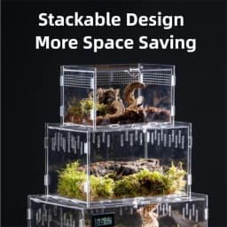 New Acrylic Reptile Habitat Anti-Escape Clear Spider Feeding Case Multiple Size Arboreal Small Pet Cage for Chameleon Clear
