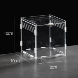 New Acrylic Reptile Habitat Anti-Escape Clear Spider Feeding Case Multiple Size Arboreal Small Pet Cage for Chameleon Clear