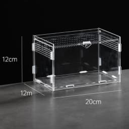 New Acrylic Reptile Habitat Anti-Escape Clear Spider Feeding Case Multiple Size Arboreal Small Pet Cage for Chameleon Clear