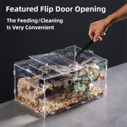 New Acrylic Reptile Habitat Anti-Escape Clear Spider Feeding Case Multiple Size Arboreal Small Pet Cage for Chameleon Clear