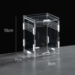 New Acrylic Reptile Habitat Anti-Escape Clear Spider Feeding Case Multiple Size Arboreal Small Pet Cage for Chameleon Clear