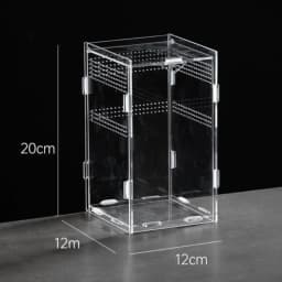 New Acrylic Reptile Habitat Anti-Escape Clear Spider Feeding Case Multiple Size Arboreal Small Pet Cage for Chameleon Clear