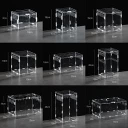New Acrylic Reptile Habitat Anti-Escape Clear Spider Feeding Case Multiple Size Arboreal Small Pet Cage for Chameleon Clear