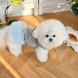 1pc Cute heart-shaped printed dog chiffon pet dog dress, gray with leaf ring pet harness dress for Small Dogs
