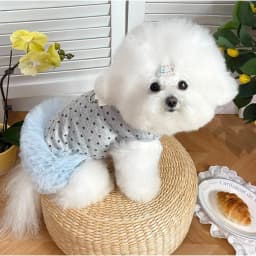 1pc Cute heart-shaped printed dog chiffon pet dog dress, gray with leaf ring pet harness dress for Small Dogs