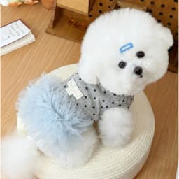 1pc Cute heart-shaped printed dog chiffon pet dog dress, gray with leaf ring pet harness dress for Small Dogs
