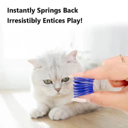 4Pcs Colorful Cat Spring Toys, Bouncing Toy for Indoor Cats, Kitten Interactive Play, Fun for Cats to Chase