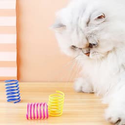 4Pcs Colorful Cat Spring Toys, Bouncing Toy for Indoor Cats, Kitten Interactive Play, Fun for Cats to Chase