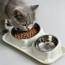 Anti-Ant Pet Bowl Anti-Spill Anti-Tip Non-Slip Feeding Water Bowl for Cat Dog Food Drinking Basin Pet Supplies