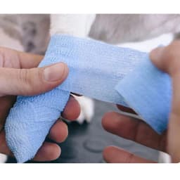 6 Rolls Vet Wrap Cohesive Bandage Self Adhesive Elastic Tape Animal Print Non-woven Breathable for Dog Cat Horse Wound Care