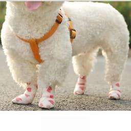 6 Rolls Vet Wrap Cohesive Bandage Self Adhesive Elastic Tape Animal Print Non-woven Breathable for Dog Cat Horse Wound Care
