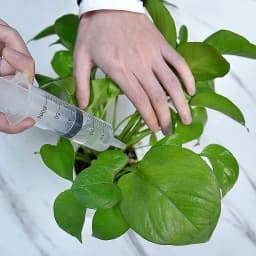 60/100ml Reusable Plastic Nutrient Filling Syringe Measuring Syringe Without Needle Syringe Glue for Animal Food Feeding