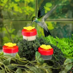4Pcs Hand Held Hummingbird Feeder Hummingbird Hand Feeders with Cleaning Brushes Wild Bird Feeder for Window Outdoor