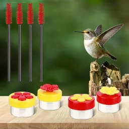 4Pcs Hand Held Hummingbird Feeder Hummingbird Hand Feeders with Cleaning Brushes Wild Bird Feeder for Window Outdoor