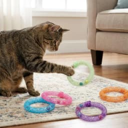 5Pcs Bell Sounds Circle Bell Cat Soft Mesh Bite Resistant Self Play Cat Bouncing Spring Colorful Cat Interactive Grid Tube