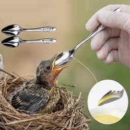 Hanging Bird Feeder Outdoor Garden Wild Bird Food Holder Plastic Bird Feeding Spoon with Hook Easy Clean for Yard Balcony Patio