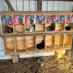 5/10pcs Chicken Coop Chick Bird Rabbit Mat Nesting Liner Coconut Fiber Mat Nest Box Plant Warmth Pad Poultry Reptile Supplies