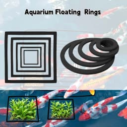 Aquarium Floating Plant Ring, Foam Duckweed Water Grass Barrier Circle, Fish Tank Floating Isolation Ring for Aquascape Decor