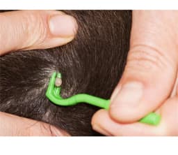 Flea Remover Hook Tick Removal Tweezer Ticks Pull Pet Cat Dog Accessaries Scratching Extractor Mite Tweezers Comb Louses Pliers