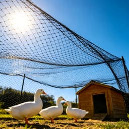 Heavy-Duty Duck Cage 49x24ft, Bird Proof Netting for Chicken Coop, Poultry Fence, Garden Climbing Net with 15 Cable Ties