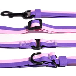 Hands-Free Dog Leash with Collar, Reflective Nylon Adjustable Training Lead for Small Dogs, 3 Colors S/M/L