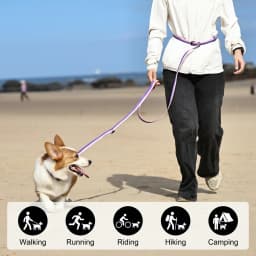 Hands-Free Dog Leash with Collar, Reflective Nylon Adjustable Training Lead for Small Dogs, 3 Colors S/M/L