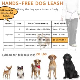 Hands-Free Dog Leash with Collar, Reflective Nylon Adjustable Training Lead for Small Dogs, 3 Colors S/M/L