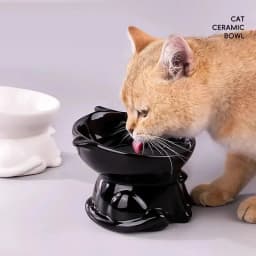 Elevated Slanted Anti Tip Cat Bowl Neck Protection Dual Purpose Pet Food Water Feeder Large Capacity Pet Supplies