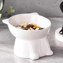 Elevated Slanted Anti Tip Cat Bowl Neck Protection Dual Purpose Pet Food Water Feeder Large Capacity Pet Supplies
