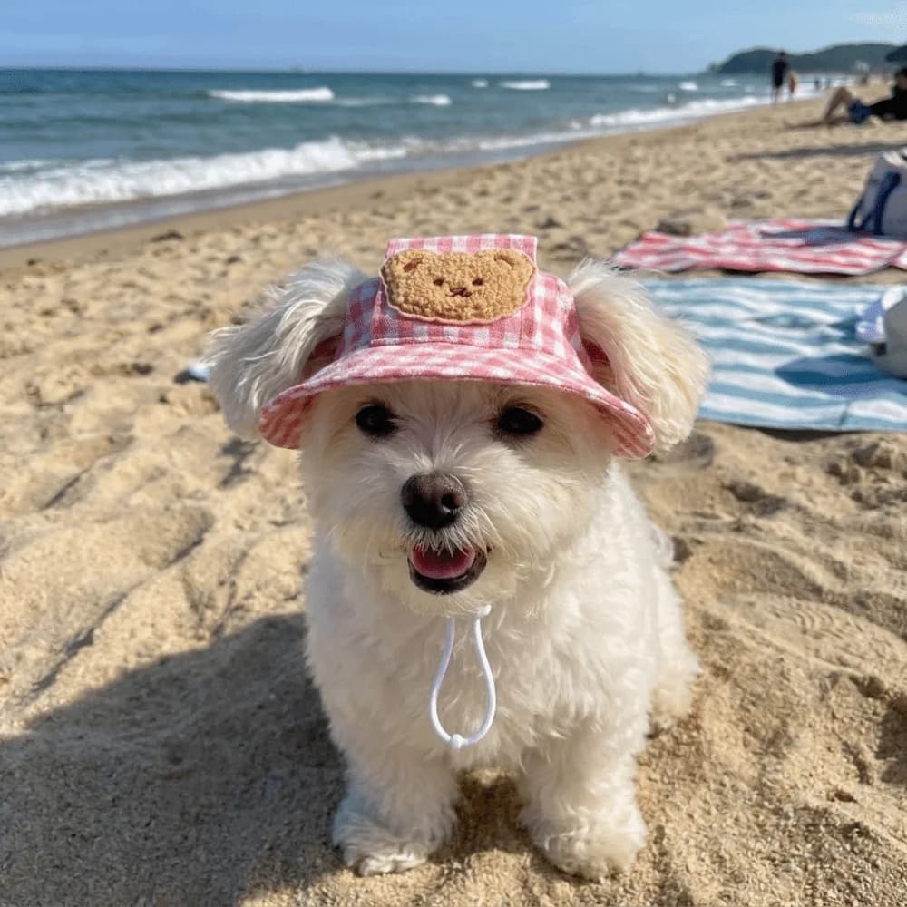 Breathable Pet Bucket Hat Adjustable Plaid Print Dog Sunshade Hat With Ear Hole Cartoon Cat For Travel Hiking Outdoor