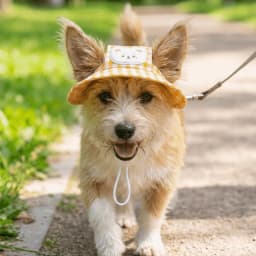 Breathable Pet Bucket Hat Adjustable Plaid Print Dog Sunshade Hat With Ear Hole Cartoon Cat For Travel Hiking Outdoor