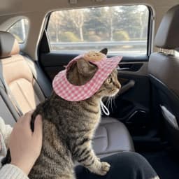Breathable Pet Bucket Hat Adjustable Plaid Print Dog Sunshade Hat With Ear Hole Cartoon Cat For Travel Hiking Outdoor