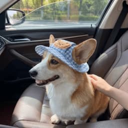Breathable Pet Bucket Hat Adjustable Plaid Print Dog Sunshade Hat With Ear Hole Cartoon Cat For Travel Hiking Outdoor