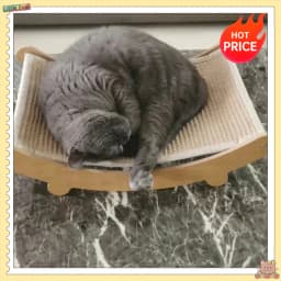 Wooden Cat Scratching Pads Multifuction Cats Sleeping Bed Detachable Wear-resistant Cat Scratch Board Kitten Grinding Cats Toys