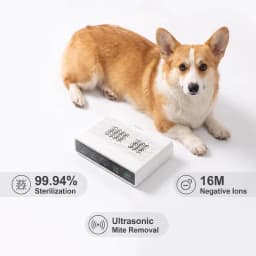 Air Purifier for Pet Odor Negative Ion Air Freshener Ultrasonic Dust Mite Killer Dual Ozone Modes Portable Hotel Air Disinfector