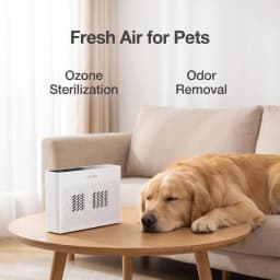 Air Purifier for Pet Odor Negative Ion Air Freshener Ultrasonic Dust Mite Killer Dual Ozone Modes Portable Hotel Air Disinfector