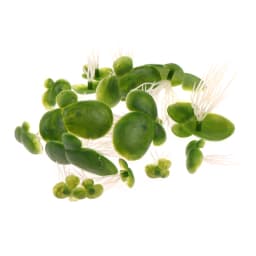 Aquarium Fish Tank Garden Water Decor 18pcs/Set Artificial Floating Duckweed with Roots