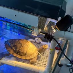 Reptile Heat Lamp UVA UVB Light Rotatable Basking Spot Light Simulated Sunlight For Turtle Lizard Dimmable Heating Lamp 