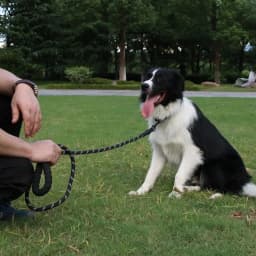 1.5/2/3M Pet Reflective Leash Nylon Round Leash Explosionproof Punch Leash Dog Walking Round Leash Without Strangulation