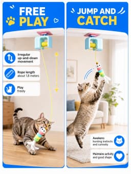 Aoifn Automatic Cat Toy, Electric Hanging Door Frame Cat Toy with Rechargeable Battery, Interactive Flying Bird Toy for Indoor